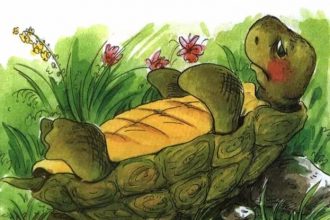 Сказка о перевернутой черепахе — Пляцковский М.С.